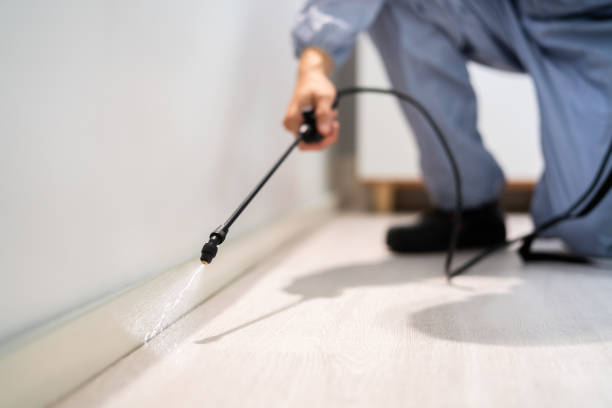 Certified termite inspector examining foundation in Ambler
